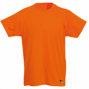 DIY Childrens T-shirt
