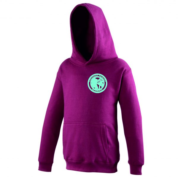 Creunant Primary School Hoodie