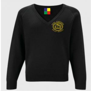 Dylan Thomas Comprehensive School V Neck Knitted Sweater