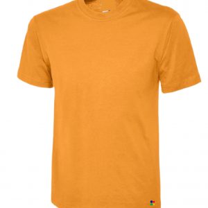 DIY Adult T-shirt