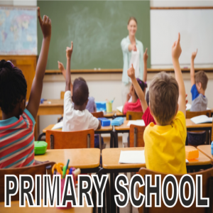 Primary School