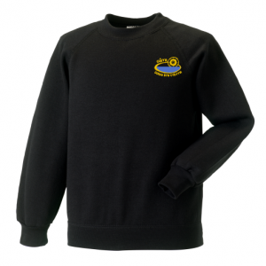Gwyr Comprehensive School V Neck Sweatshirt